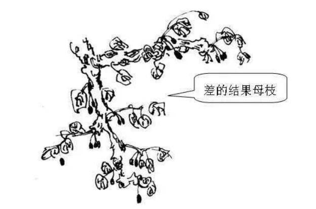 1720081048550852.jpg QQ截圖20240704160044.jpg