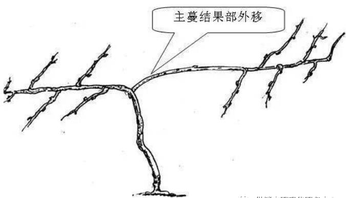 1720081093546595.jpg QQ截圖20240704160117.jpg